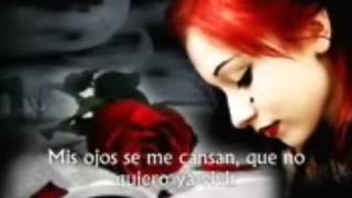 Conjunto Primavera - Y Que Me Importa