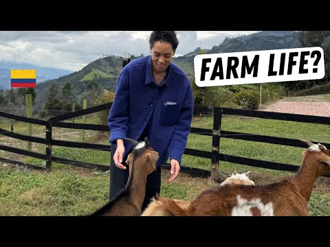 Visiting Colombia as an American: A beautiful side of Colombia most tourists NEVER see ￼