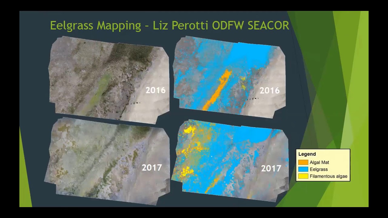 Using Unmanned Aircraft to Monitor Habitat Restoration - Suring and Newman