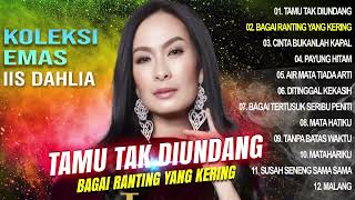 Download lagu KOLEKSI EMAS IIS DAHLIA Spesial Dangdut Klasik  Tanpa iklan mp3