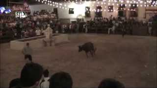 preview picture of video 'Suelta vacas Fuentelencina 2014'