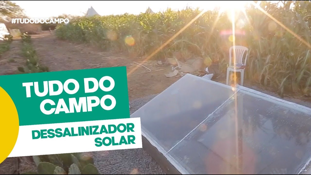 Dessalinizador Solar | tecnologia para retirar o sal da água