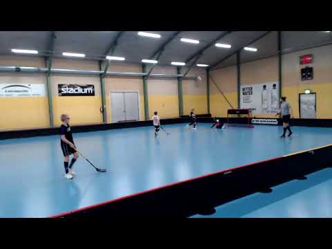 ErVi Kulta  - Oilers Penguins