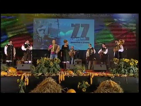 Hirten lied & Pastirček (Avsenik cover) – Zoran Zorko Band & Raigrani Muzikanti Live @