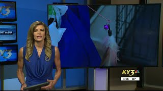 Springfield animal rescue needs help after bringing in abused pets