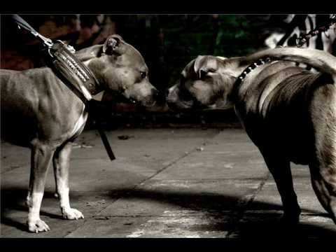 Atztecca Feat  Rappady - Armes Deutschland