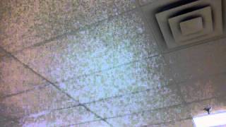 Nobody Cared/Oh How He Loves you and me