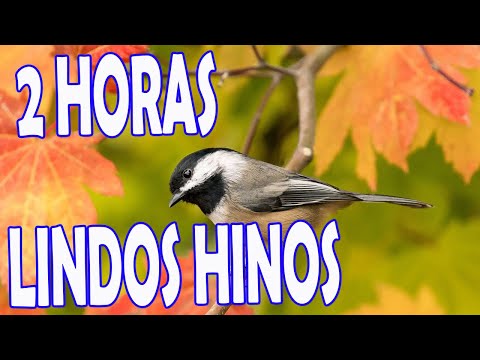 2 HORAS DE LINDOS HINOS CCB🦋Melhores Hinos CCB Para Ouvir em Comunhão - Hinos Ccb - Lindos Hinos CCB