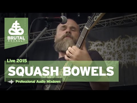 Brutal Assault 20 - Squash Bowels (live) 2015