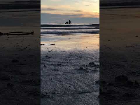 Koh Chang | Thailand | 2020 | Travel