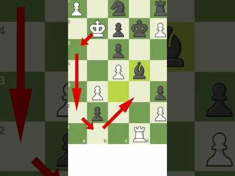 World's Longest Checkmate