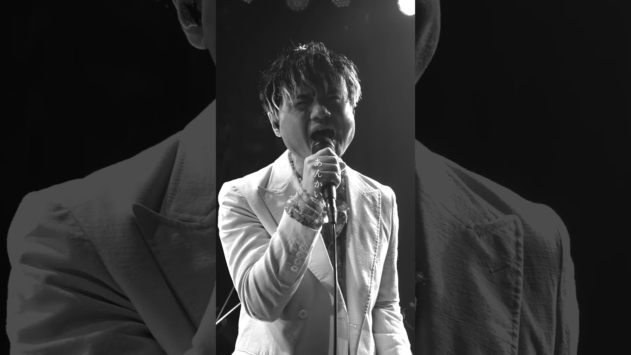 SunSet Swish New Single「あんかい」暗がりの中でも一筋の光を求めて生きていく、そんな想いが込められた曲。#アニメ #jpop  #bleach