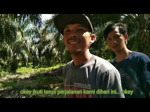 keseruan mandi di air terjun bersama teman-teman