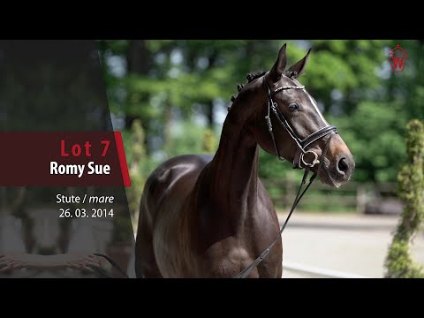 07 Romy Sue Stute v. Rock Forever II - Likoto xx