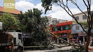 Vientos fuertes afectan el servicio eléctrico y causan destrozos en el estado brasileño de Sao Paulo