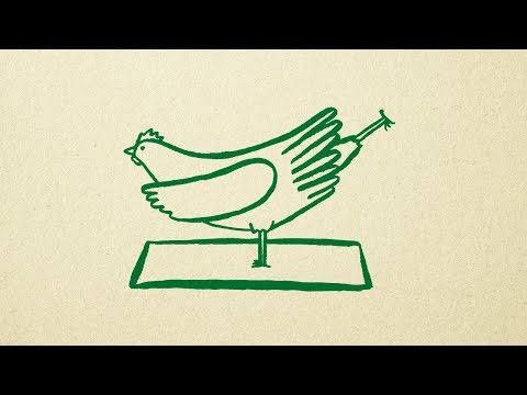 Warum der Knospe das Tierwohl wichtig ist