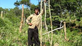 Baldonado Gonzalez Marquez