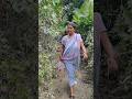 Bhojpuri Jungle Mein Mangal Ho Gaya