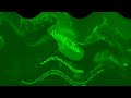 Coca Cola Logo 2019 Effects Preview 72cqo Effects HYPEREXTENDED