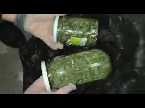 3 ayrı operasyonda 1 tutuklama