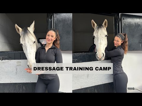 DRESSAGE TRAINING CAMP WITH MY YOUNG HORSE