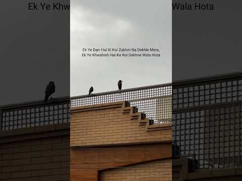 Agree🥺 #loveqoutes #quotes #loveisforever #lovequote #sayings #quoted #romancequotes #imissyouquotes