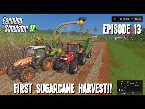 Farming Simulator 17 - Lets Play - Episode 13 - OUR FIRST SUGARCANE HARVEST!!
