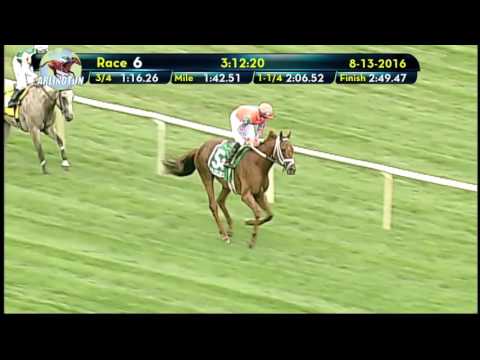 2016 American St. Leger Pan & Head On Only