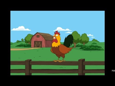 Cutaway Compilation Season 8 - Family Guy (Part 4)