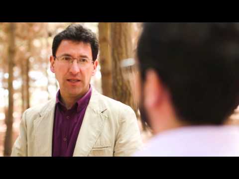 USM - Modelación Matemática