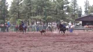 #14, 4th of July, Linden Valley Arena