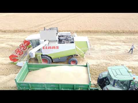 cutting winter barley/part 1 / with combine 405