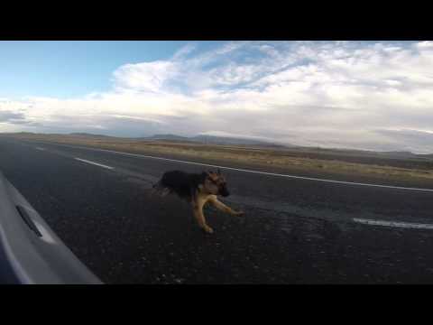 Willson - my 7 months old son