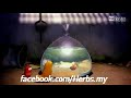 Larva Episode 25