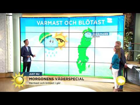 Så grillvänligt blir Sverige ikväll - Nyhetsmorgon (TV4)