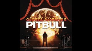 Pitbull Ft. Akon &amp; David Rush - Everybody Fucks (2012) (High Tone)