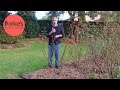 Burke S Backyard Rose Pruning