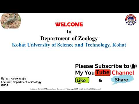 FACULTY276 ZOO331 KUST20201 L11 V11 Phenon, Taxon And Category