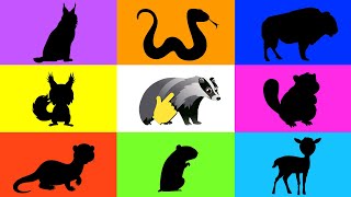 European Animals: Learn Animal Names and Sounds | Educational Video for Kids 🦡 gameplay video by mgorham, 4:11 duration
