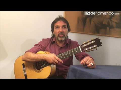 Agustin Carbonell Bola