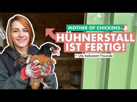 Die Hühner ziehen ein! Hühnerstall-Bau & Update 🐔