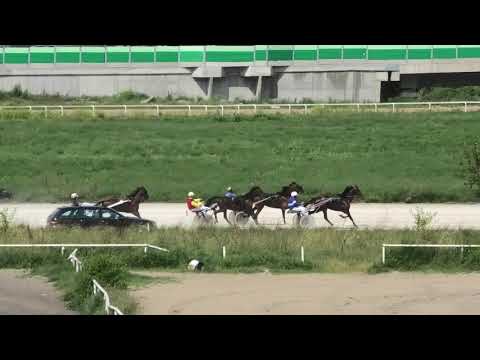 Trka "Fire Iron" 14.07.2019 I Topčider - Lazar Simić