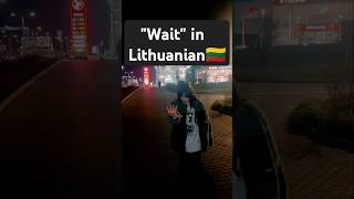 This is how "Wait" sounds in Lithuanian 🤣🇱🇹 #lithuaniaviral #lithuania #viral #wait #meme #funny