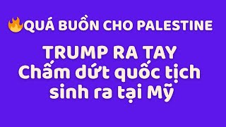 Thế giới tóm tắt 22/1: Buồn cho Palestine, chấm dứt quốc tịch sinh ra tại Mỹ, Putin có động thái mới
