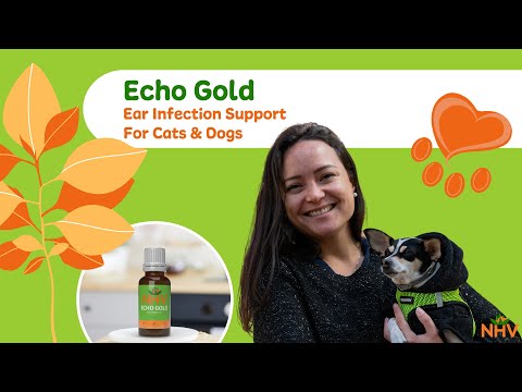 NHV Echo Gold: Ear Infection Support For Cats & Dogs