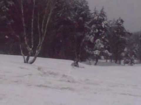 TRENING ZALEW ZAGNANSK   1