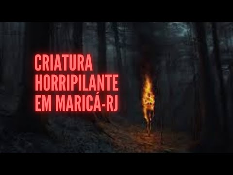 Something worse than the headless mule in Maricá, Rio de Janeiro.