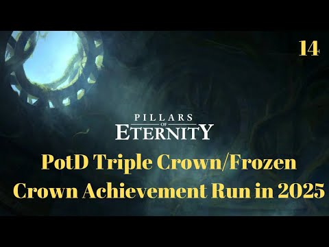 Pillars of Eternity Triple Crown/Frozen Crown Achievement Run in 2025 - Cail The Silent Dragon - 14
