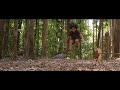Murugan Becomes The Pulimurugan Of Puliyoor