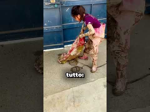 Questa Bambina Non Torna Mai a Mani Vuote